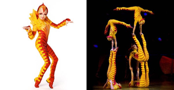 Cirque du Soleil - OVO | Photo: CDS