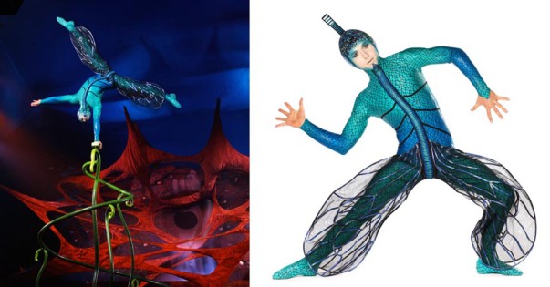 Cirque du Soleil - OVO | Photo: CDS